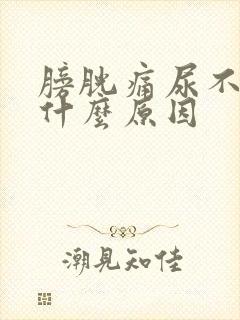 膀胱痛尿不出来什么原因