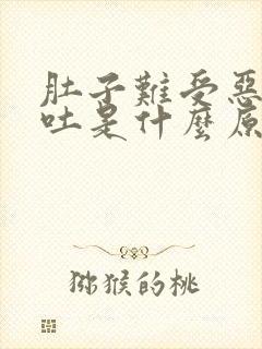 肚子难受恶心想吐是什么原因