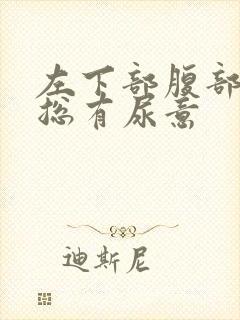 左下部腹部疼痛总有尿意