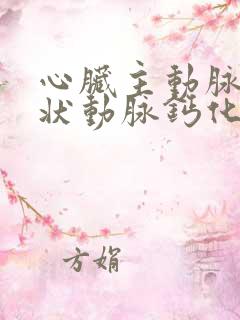 心脏主动脉和冠状动脉钙化