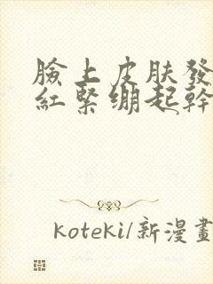 脸上皮肤发硬发红紧绷起干皮