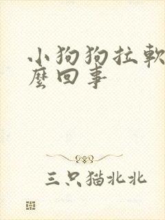 小狗狗拉软便怎么回事