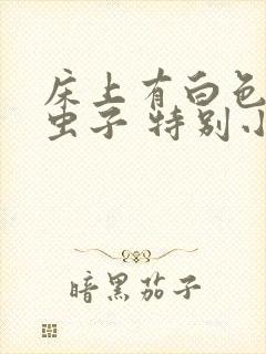 床上有白色的小虫子 特别小怎么办