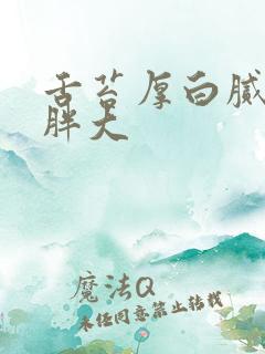 舌苔厚白腻舌体胖大