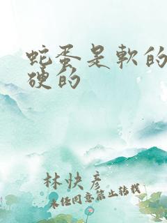 蛇蛋是软的还是硬的