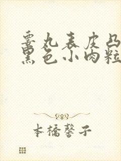 睾丸表皮凸起的黑色小肉粒