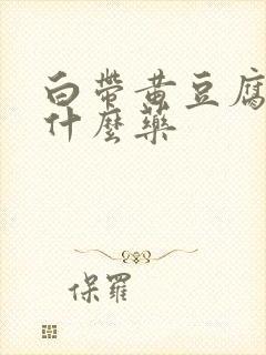 白带黄豆腐渣用什么药