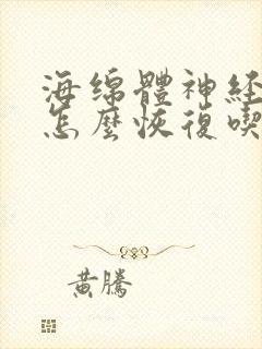 海绵体神经受损怎么恢复吃什么药