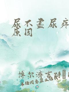 尿不尽尿疼什么原因