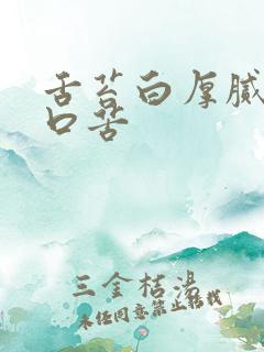 舌苔白厚腻口干口苦