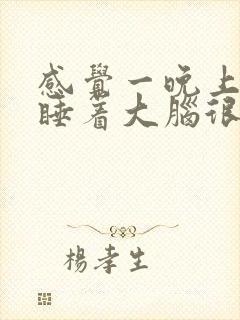 感觉一晚上都没睡着大脑很清醒