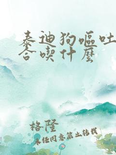 泰迪狗呕吐后适合吃什么