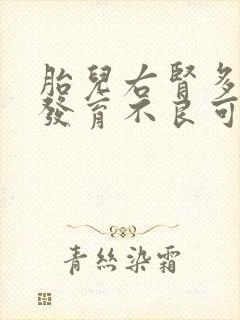 胎儿右肾多囊肾发育不良可以生下来吗