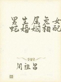 男生属兔女生属蛇婚姻相配吗