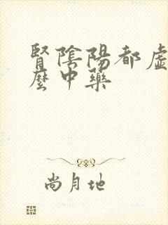 肾阴阳都虚用什么中药