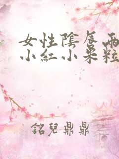 女性阴唇两边有小红小米粒是什么症状