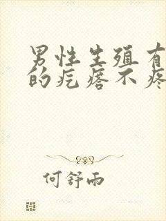 男性生殖有白色的疙瘩不疼不痒