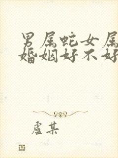 男属蛇女属牛的婚姻好不好