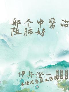 哪个中医治慢性阻肺好