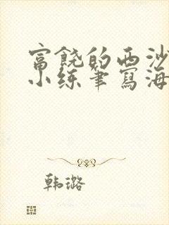 富饶的西沙群岛小练笔写海龟的