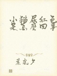 小猫尿红色的尿是怎么回事