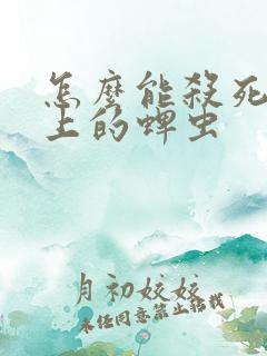 怎么能杀死狗身上的蜱虫