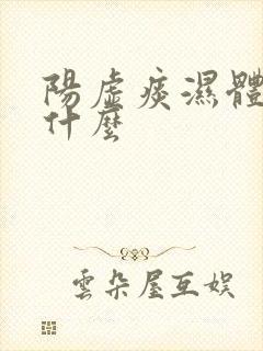 阳虚痰湿体质吃什么