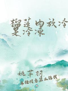 榴莲肉放冷藏还是冷冻