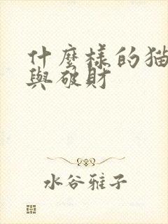 什么样的猫招财与破财