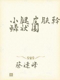 小腿皮肤干燥鱼鳞状图