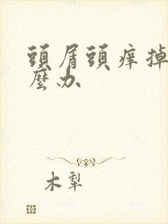 头屑头痒掉发怎么办