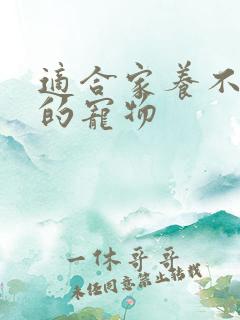 适合家养不掉毛的宠物