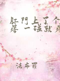 肛门上了个硬疙瘩 一碰就疼