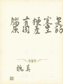 脑有梗塞是什么原因产生的