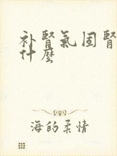 补肾气固肾精吃什么