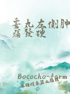 睾丸左侧肿大疼痛发硬