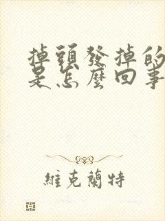 掉头发掉的很多是怎么回事