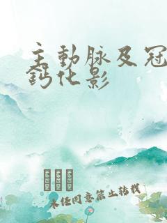 主动脉及冠脉见钙化影