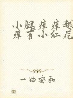 小腿痒痒越抓越痒有小红疙瘩