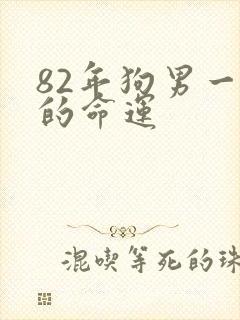 82年狗男一生的命运