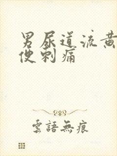 男尿道流黄脓小便刺痛