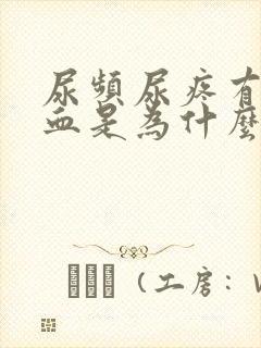 尿频尿疼有点出血是为什么