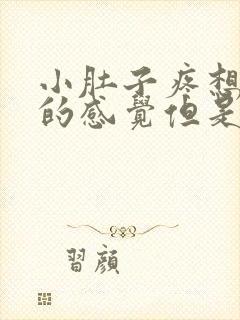 小肚子疼想拉屎的感觉但是拉不出来