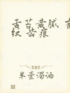 舌苔黄腻 有裂纹 齿痕