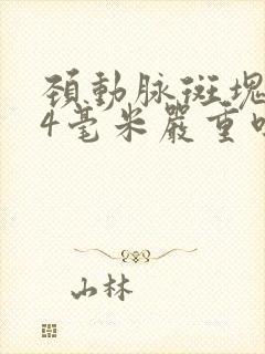 颈动脉斑块1.4毫米严重吗