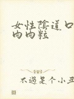 女性阴道口内长肉肉粒