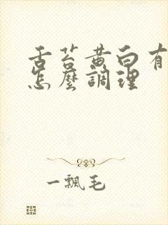 舌苔黄白有齿痕怎么调理