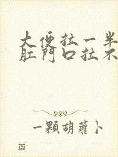 大便拉一半堵在肛门口拉不出来怎么办