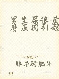 男生尿很黄是什么原因引起的