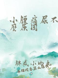 小腹痛尿不尽什么原因